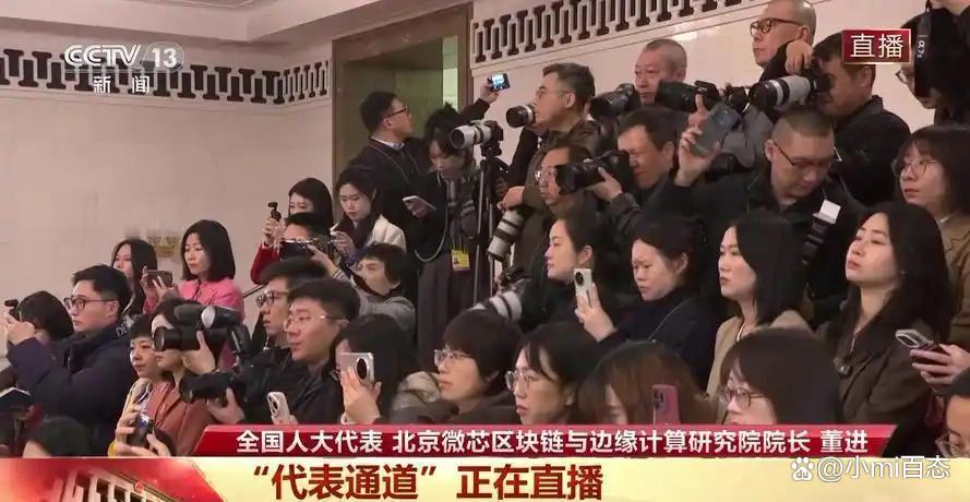 中國(guó)傳來好消息！全國(guó)人大代表宣布：我們自己搞定的芯片(圖1)